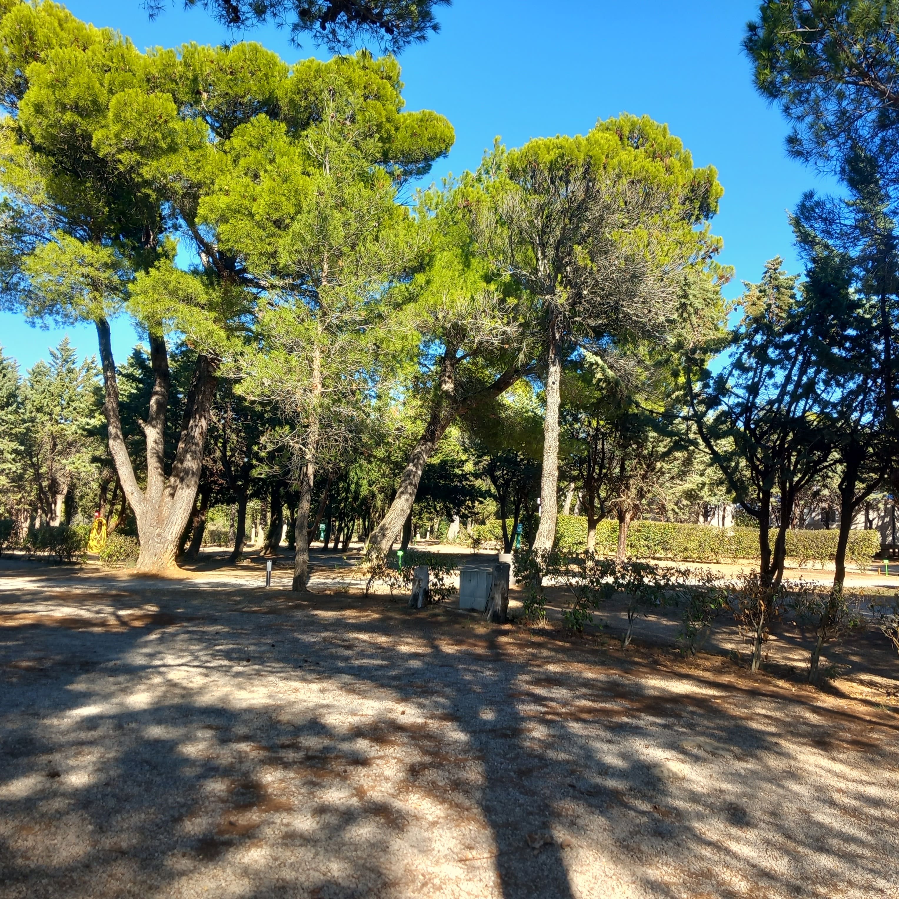 Camping Aude - Camping Le Pinada Emplacement